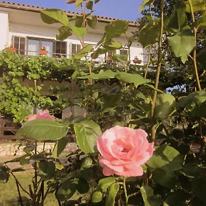 https://apartment-iva-rovinjsko-selo.in-istria.net